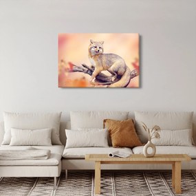 Obraz - Líška (90x60 cm)