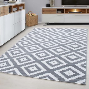 Svetlosivý koberec 160x230 cm Plus – Ayyildiz Carpets