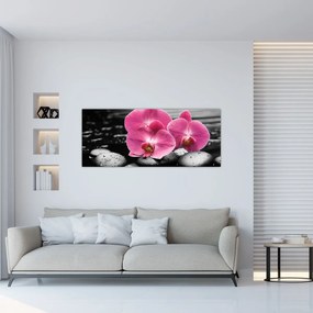 Obraz - Ružové orchidey (120x50 cm)