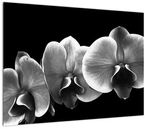 Sklenený obraz kvetu orchidey (70x50 cm)