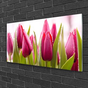 Skleneny obraz Tulipány kvety rastlina 140x70 cm