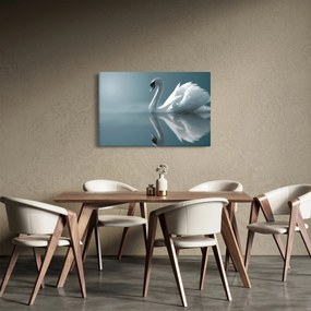 Obraz - Biela labuť (90x60 cm)