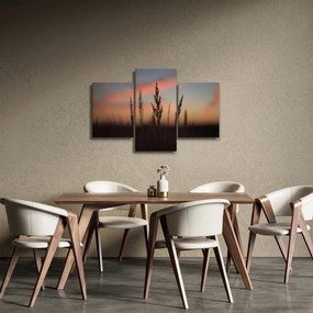 Obraz - Silueta rastliny (90x60 cm)