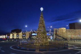 Vianočný stromček Kužeľ 370cm -2400cm