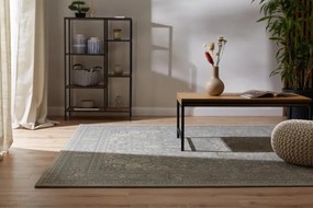 Koberec Agnella Regius Senator Popiel