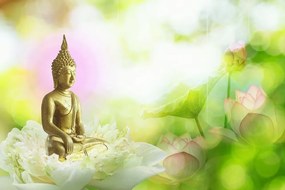 Samolepiaca tapeta harmónia budhizmu - 300x200