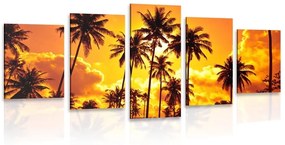 5-dielny obraz kokosové palmy na pláži - 200x100