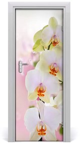 Samolepiace fototapety na dvere biela orchidea 95x205 cm