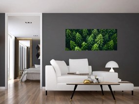 Obraz - Les (120x50 cm)