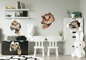 Detská nálepka na stenu s roztomilým mačiatkom 60 x 120 cm