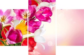 Obraz tulipánov (90x60 cm)