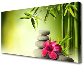 Obraz Canvas Bambus kvet kamene zen 100x50 cm