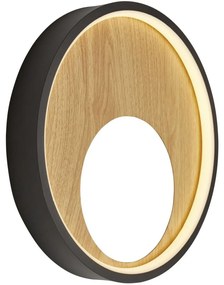 Searchlight 36303-1BK - LED Nástenné svietidlo CURIO LED/11W/230V hnedá