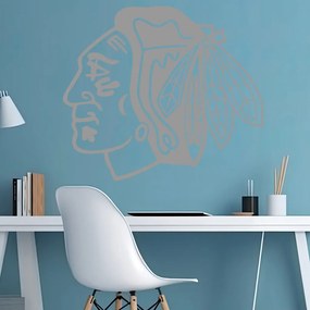 Veselá Stena Samolepka Hokejový tím Chicago Blackhawks Farba: šedá, Veľkosť: 60 x 52 cm