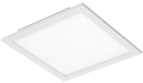 Briloner 7191-016 - LED Stropné svietidlo SIMPLE LED/12W/230V BL0913