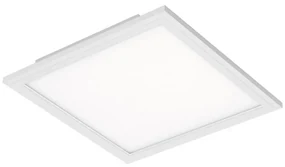 Briloner 7191-016 - LED Stropné svietidlo SIMPLE LED/12W/230V BL0913