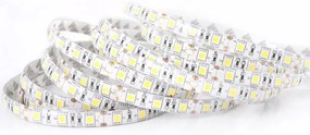 ECOLIGHT LED pásik - SMD 5050 - 5m - 60LED/m - 14,4W/m - IP65 - teplá biela