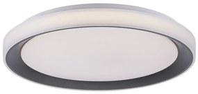 Leuchten Direkt 14659-18 - LED RGB Stmievateľné svietidlo LOLA LED/24W/230V + DO