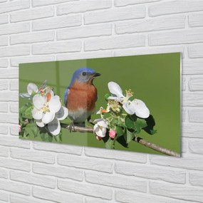 Sklenený obraz Kvety farebné papagáj 120x60 cm