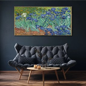 Obraz na plátne Van Gogh Dúhovky