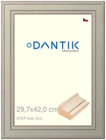 DANTIK rám na obraz 29,7x42 | STEP bílá (Plexi Čiré)