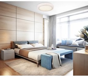 Globo 41265K - LED Stropné svietidlo LIAMI LED/24W/230V pr. 40 cm 4000K biela