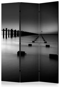 Artgeist Paraván - To the Horizon [Room Dividers]