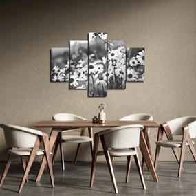 Obraz - Kopretiny (150x105 cm)