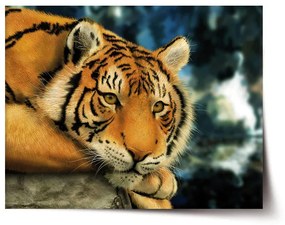 Sablio Plagát tiger - 60x40 cm