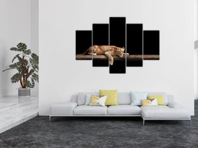 Obraz - Levice (150x105 cm)