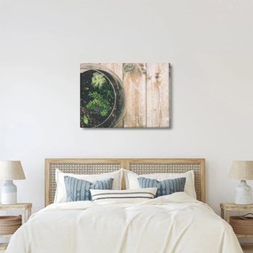 Obraz sukulentov v skle (70x50 cm)