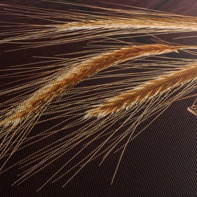 Obraz - Detail ražného klasu (120x50 cm)