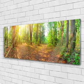 Obraz plexi Slnko príroda lesné chodník 125x50 cm