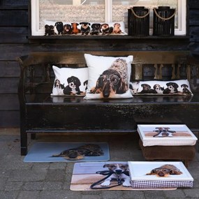 Podnos na nohy s jazvečíkom v okuliaroch Dachshund humour - 43*33*7cm
