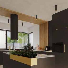 Stropné svietidlo v čierno-zlatej farbe Crown – Sollux