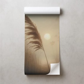 Samolepiaca tapeta pampová tráva v rannej hmle