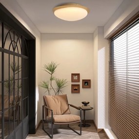 Brilagi - LED stropné svietidlo VISBY WOOD LED/18W/230V pr. 38 cm hnedá