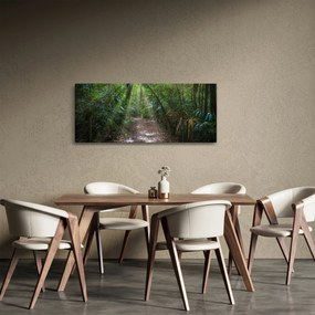 Obraz - Slnečné lúče v džungli (120x50 cm)