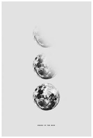 Plagát, Obraz - Finlay & Noa - Moon 5, (40 x 60 cm)