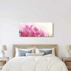 Obraz - Ružové kvety (120x50 cm)