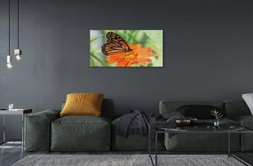 Sklenený obraz Kvet farebný motýľ 140x70 cm