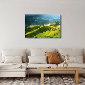 Obraz - Koncert ryžových terás (90x60 cm)