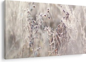 Obraz - Rastlina (90x60 cm)