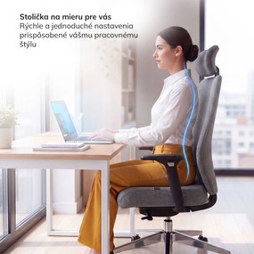 Ergonomická kancelárska stolička tmavosivá AXIS