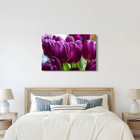 Obraz tulipánov (90x60 cm)