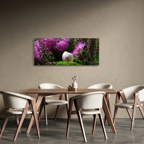 Obraz - Slimáková ulita (120x50 cm)