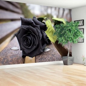 Fototapeta Vliesová Čierna ruža 104x70 cm