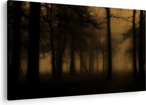 Obraz - Temný les (90x60 cm)