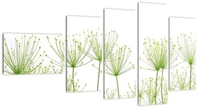 Obraz rastlín na bielom pozadí