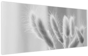Obraz - Bunny tail grass (120x50 cm)